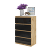 GABRIEL - Kommode / Sideboard mit 4 Schubladen - Wotan Eiche / Schwarz Gloss H92cm B60cm T33cm